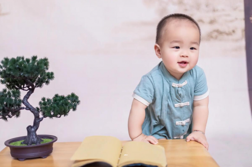 云南可爱的企鹅宝宝